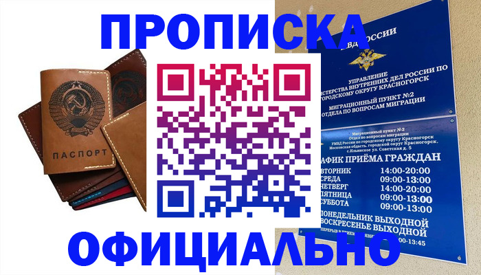 временная прописка в Михайловке